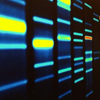 Infective Heredity