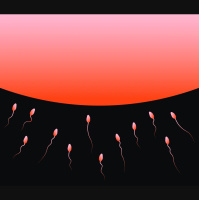 Birthstory
