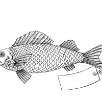 Why Fish Dont Exist