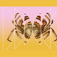 Crabs All the Way Down