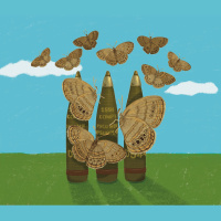 Of Bombs and Butterflies