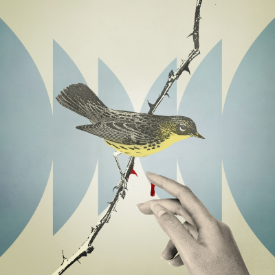 Radiolab