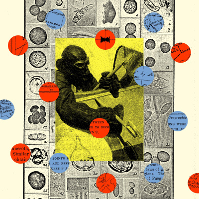Radiolab