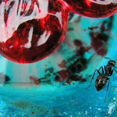 Radiolab