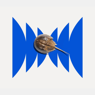 Radiolab