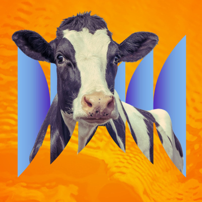 Radiolab