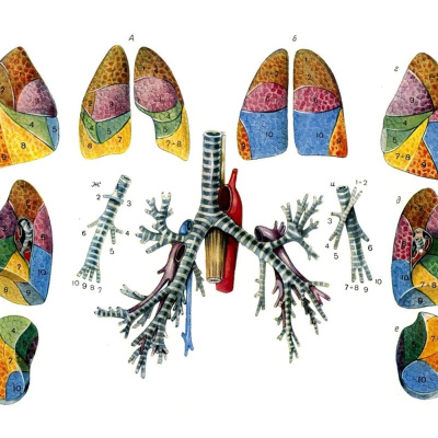 Radiolab