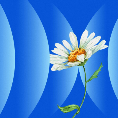 Radiolab