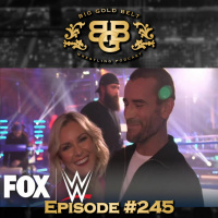 #BGB Podcast Ep. 245: Punk is Back !