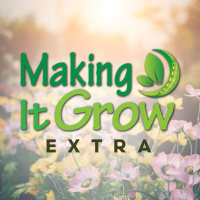 Farming sunflowers in the US