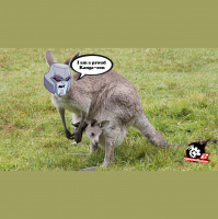 Moonbase 2 Episode 511