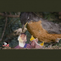 Moonbase 2 Episode 410