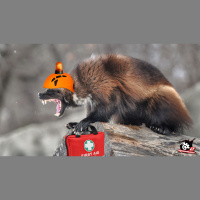 Moonbase 2 Episode 626