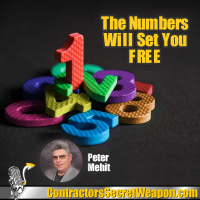 The Numbers Will Set You Free with Peter Mehit 230