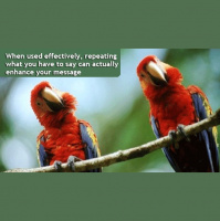 Toastcaster 155: Repetition Can Be A Good Thing - Greg Gazin