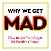 Why We Get Mad: On Anger Research and Therapy