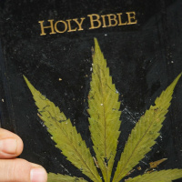 #403 - Gorilla Glue #4 - The Church of Crannabis