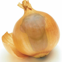 #447 - Good Onion