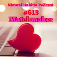 #613 - Matchmaker, Matchmaker