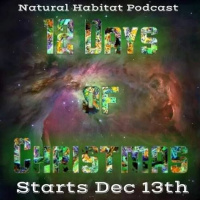 Third Day of Christmas