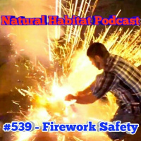 #539 - Firework Safety
