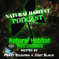 #319 - The Wraith w/ NHP Commentary