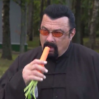 #415 - Steven Seagaltural Appropriation