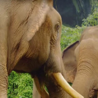 #383 - The Mirror Test