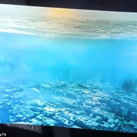 #402 - Time Travel, Cats and Edible Cannabis