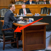 #414 - Zucc the Cuck