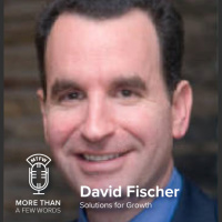 #316 Integrated Marketing with David Fischer