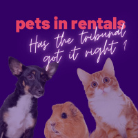 Pets in rental properties. Has Tenancy Tribunal got this right?