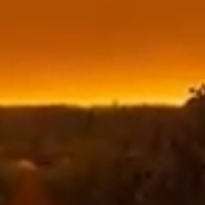 Dan Deluca Mindset Training