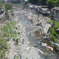 Flat /a/ vs. the ash /ae/