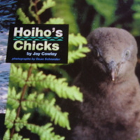 Dean Schneider- photographer