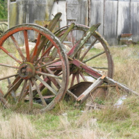 Georginas Composiion