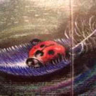 Allanahs Appleby Showcase