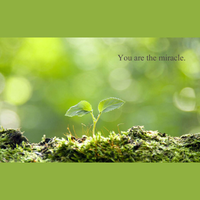 Coaching With Karlyn - The Biz Pro