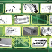 							 Interview with Federico Carpi 							