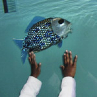 							 Interview with Huoseng Hu 							