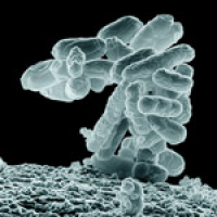 							 Interview with John Doyle 							