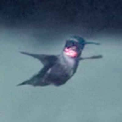 Convergent Science Network Podcast