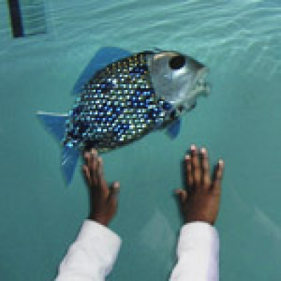 Convergent Science Network Podcast