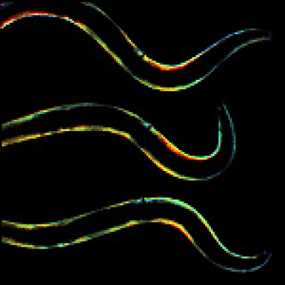 Convergent Science Network Podcast