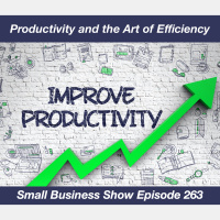 Productivity and the Art of Efficiency