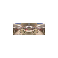 Deadly Bacteria Escapes Lab in ‘Disturbing’ Incident, And More