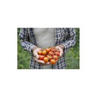 Ep. 241 New Mexico West Prepping - e8 - Part 3 of 3 on Survival Gardening 101