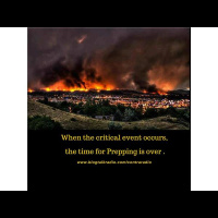 EP.177 Ladies of the Watch: Trading and Bartering....Something to think about.