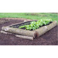 Ep. 233 New Mexico West Prepping - e6 - Part 1 of 3 on Survival Gardening 101