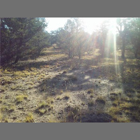 Ep. 249 New Mexico West Prepping - e10- Alternative ways of income generation